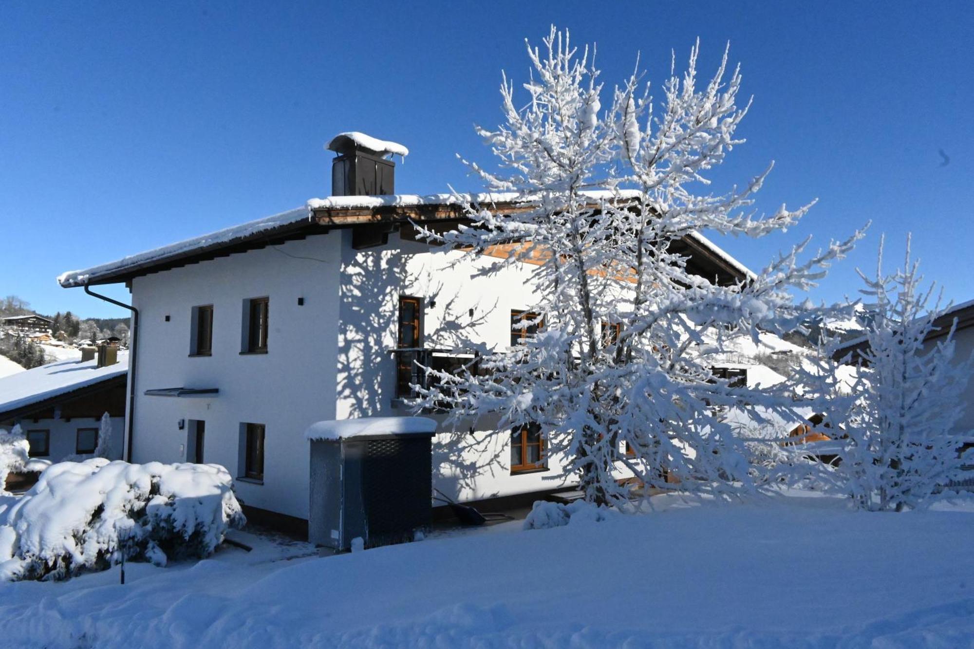 Nicky Apartments And Studios Niederau Extérieur photo